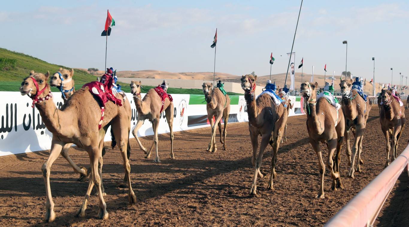 منافسات ميدان اللبسة تشهد قمة الإثارة دائماً