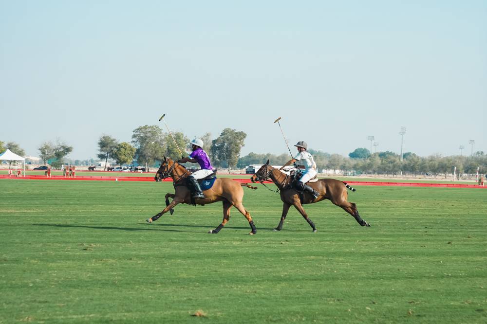 من لقاء فريقي أبوظبي ولامار بولو