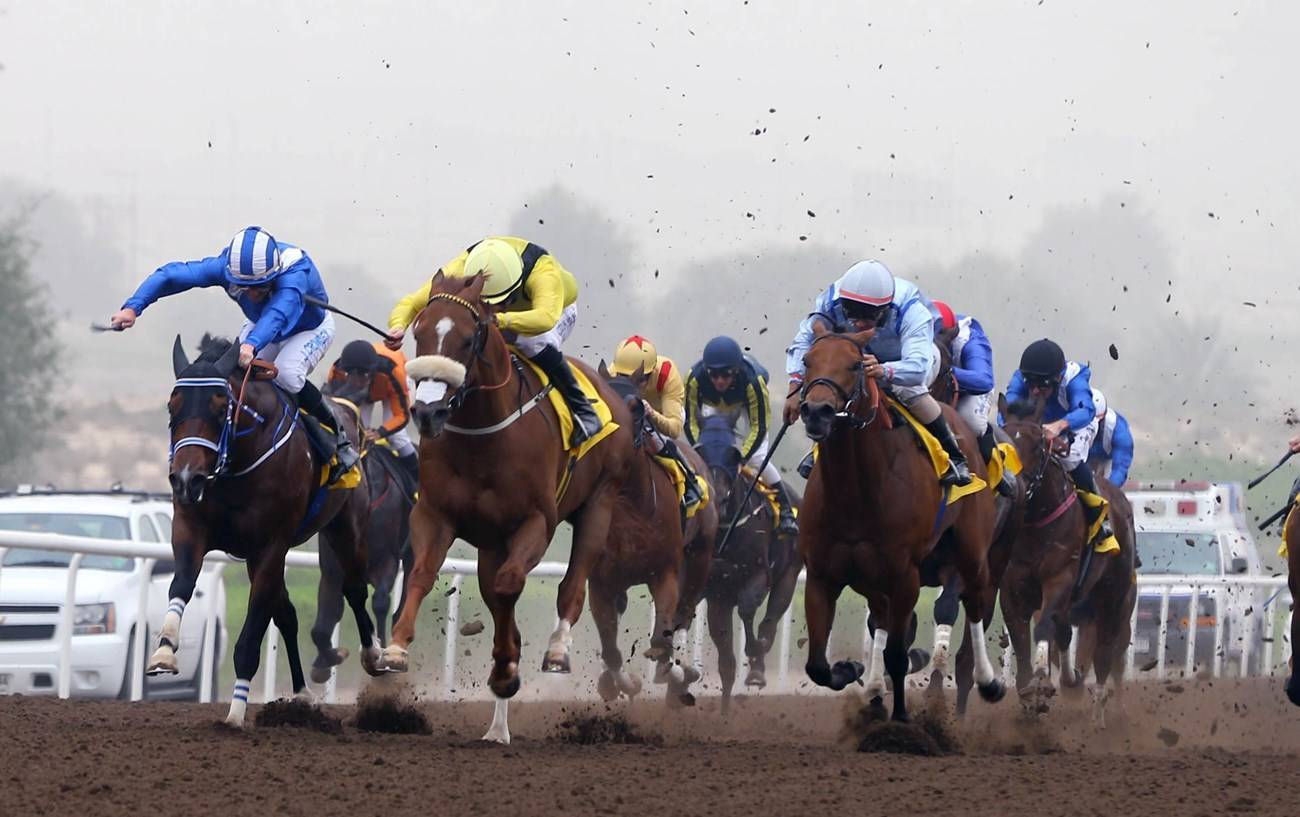 إثارة وقوة في سباقات جبل علي