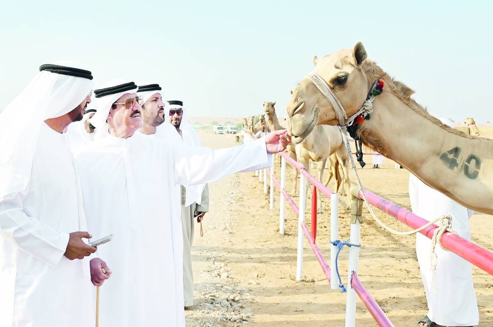 سلطان بن حمدان خلال حضوره بعض فعاليات المهرجان
