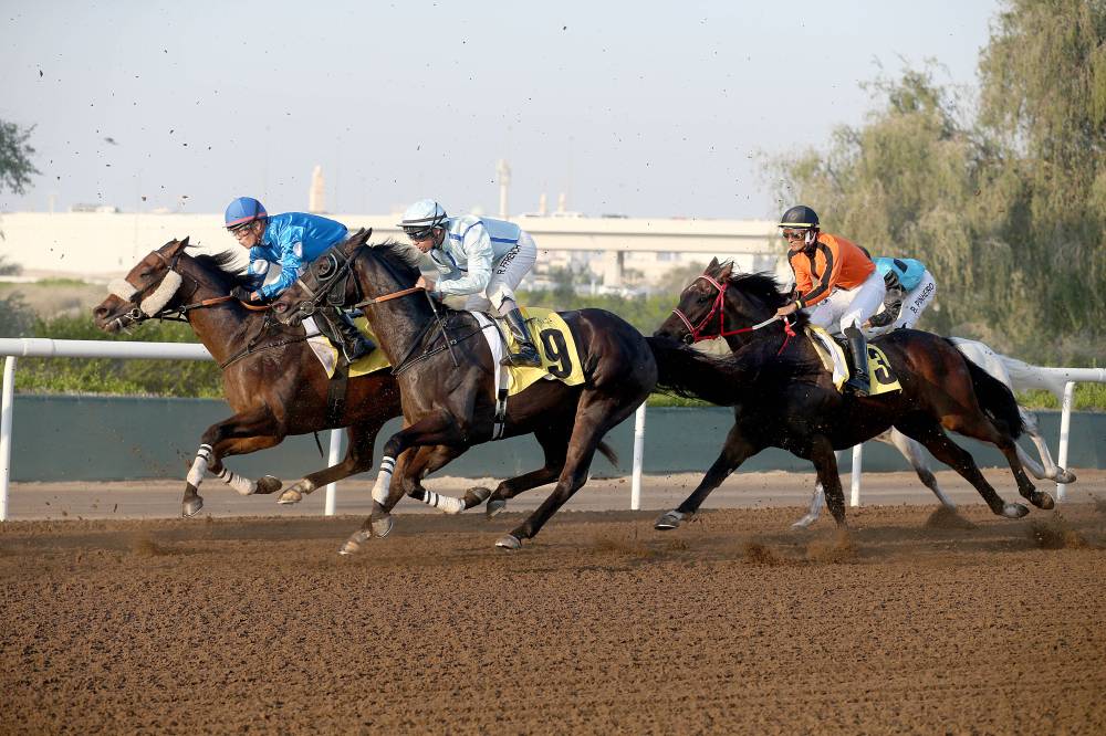 سباق الخيل تصوير: (( هيثم الخاتم ))