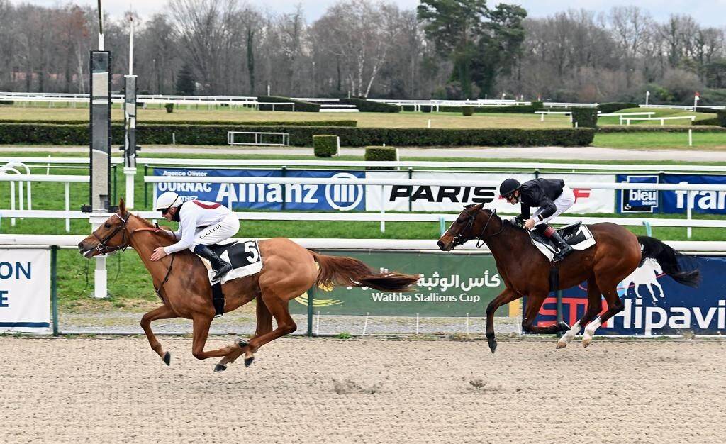 «رشا» تجري بسرعة نحو خط النهاية