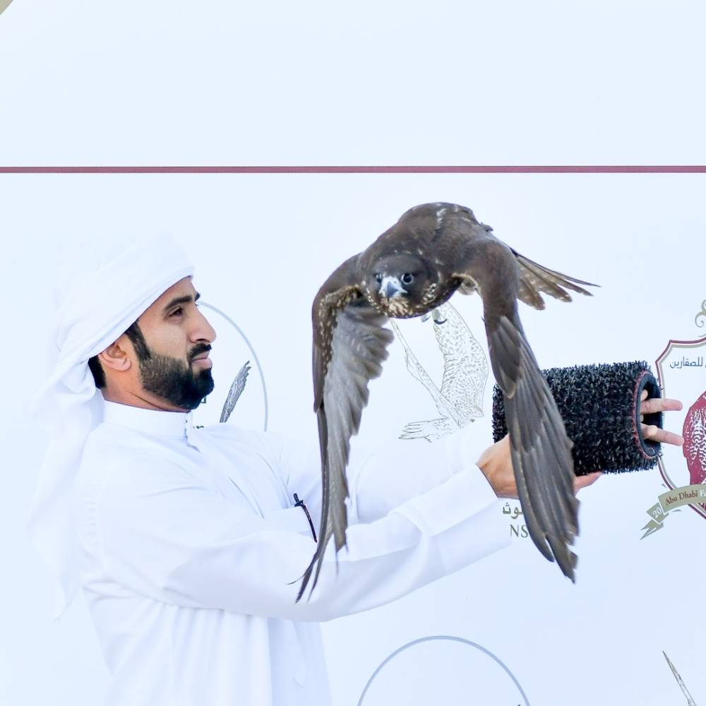 جانب من المنافسات