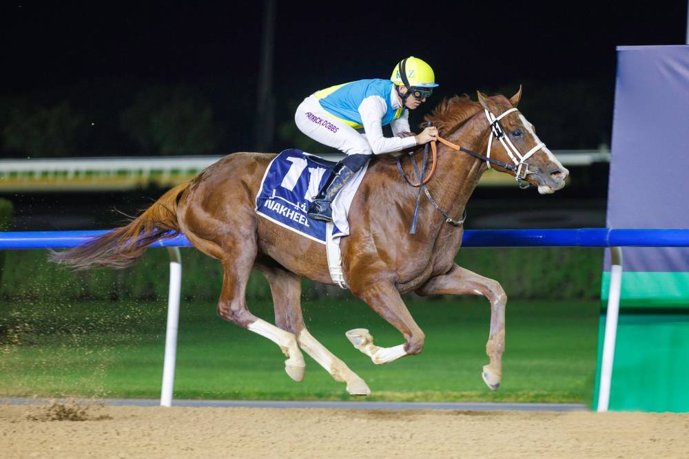 «كبير خان» نجم جديد قادم بقوة في عالم السباقات (تصوير: جون)
