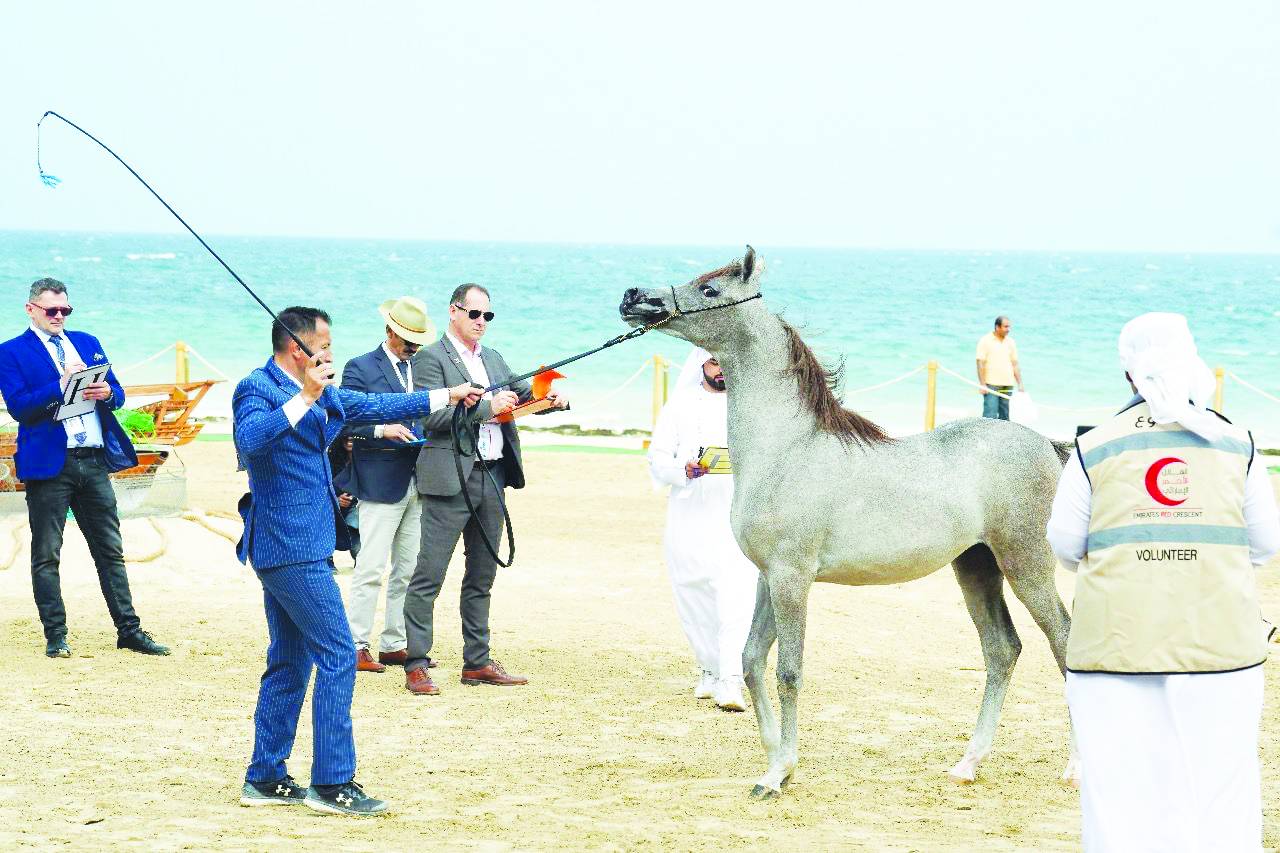 من منافسات سابقة