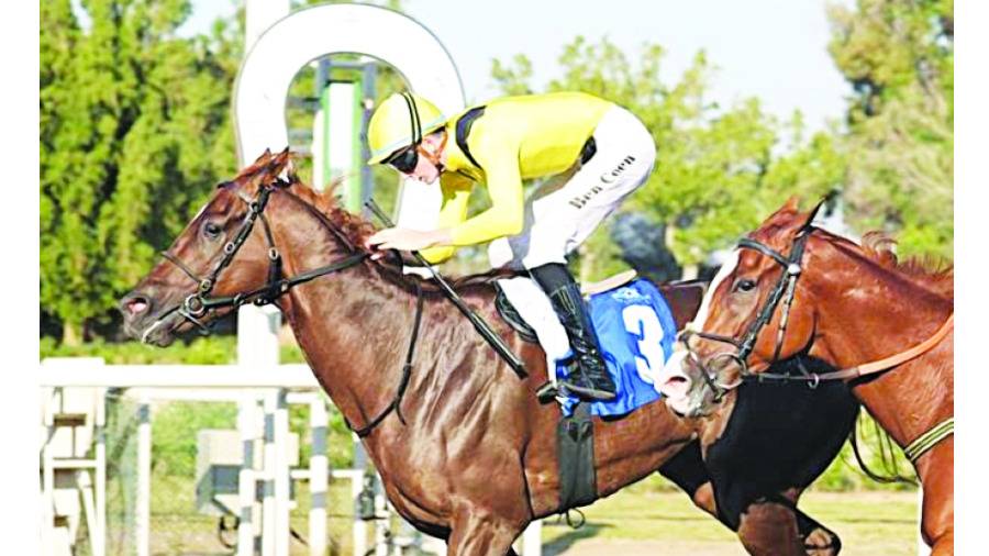 «الطارق» يواجه الأقوياء في تحضيري جبل علي سبرينت
