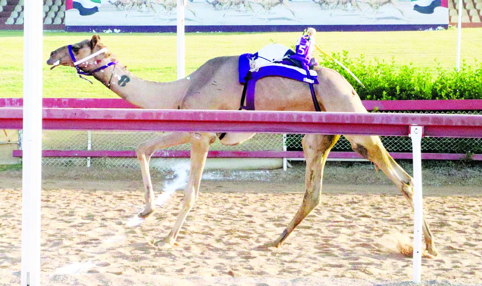 من منافسات السباق