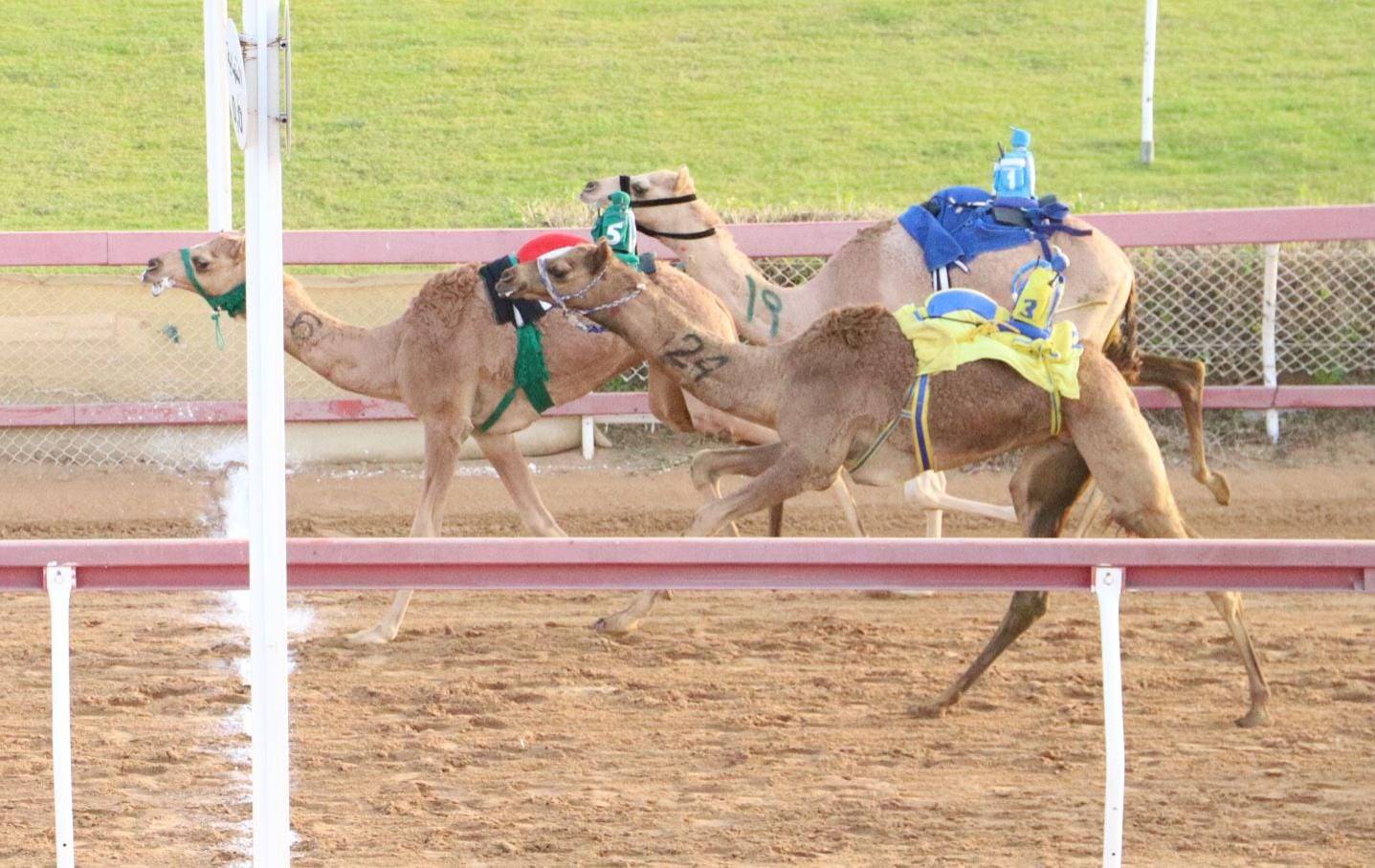 من منافسات السباق