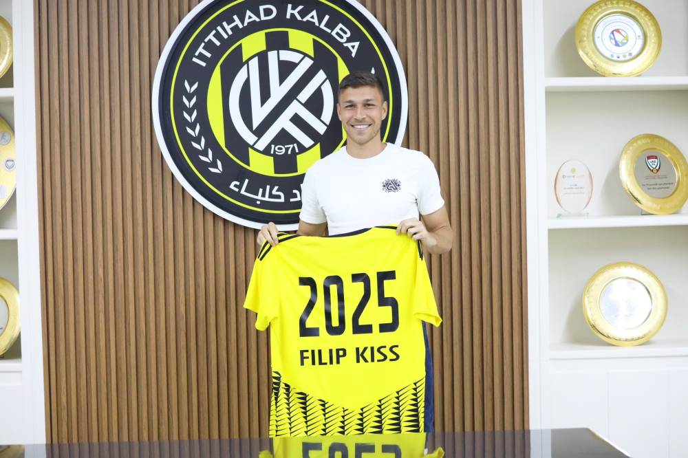 كيس يحمل قميص كلباء