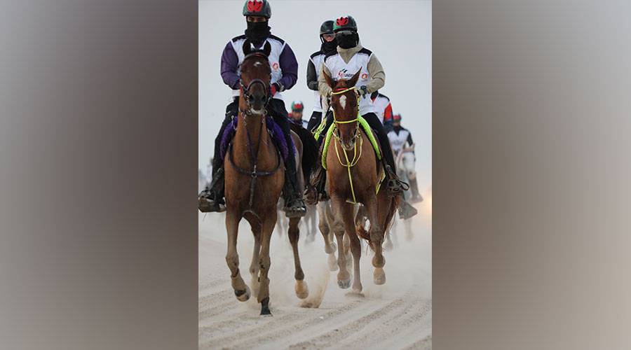 الحمادي يتصدر الجولة الأولى لسباق كأس سلطان بن زايد للقدرة
