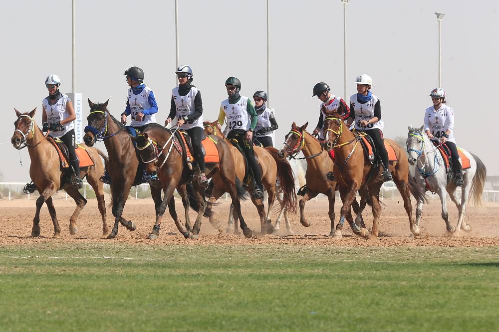 كأس محمد بن راشد يختتم مهرجان القدرة اليوم