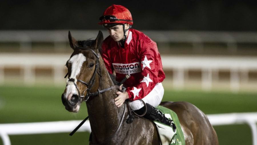 فيرجسون يستعد للمنافسة بجواده البطل في مضمار ميدان