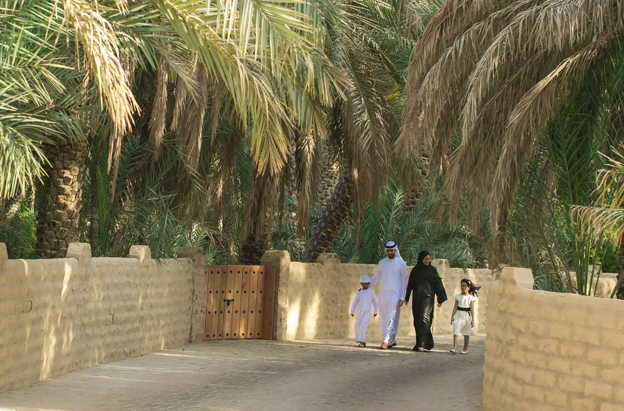 احتفاء بالنخيل