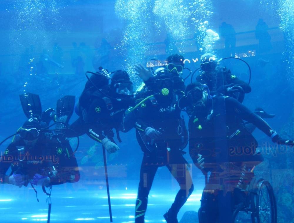  الموسوي يسجل رقماً قياسياً جديداً في «غينيس» لأسرع غوص بكرسي متحرك 