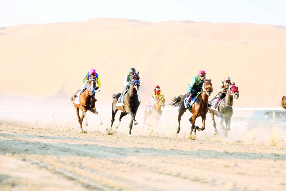 من منافسات الخيول في الظفرة
