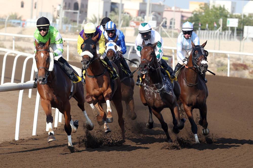 من منافسات سباقات مضمار جبل علي