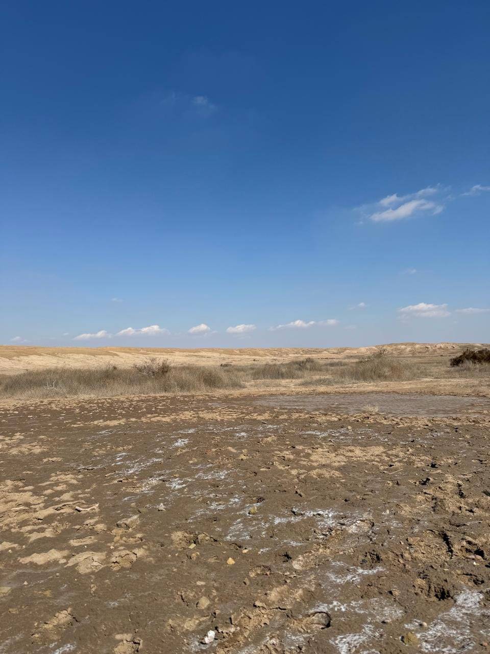 أحد المواقع الأثرية التي تم اكتشافها في الديوانية 