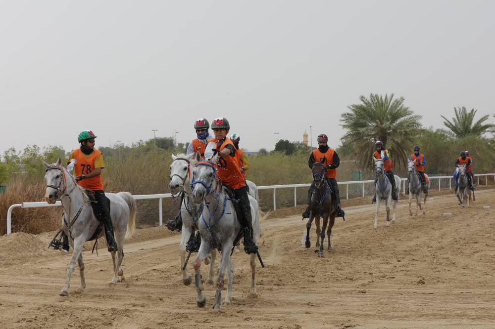 سباق كاس حتا للقدرة   