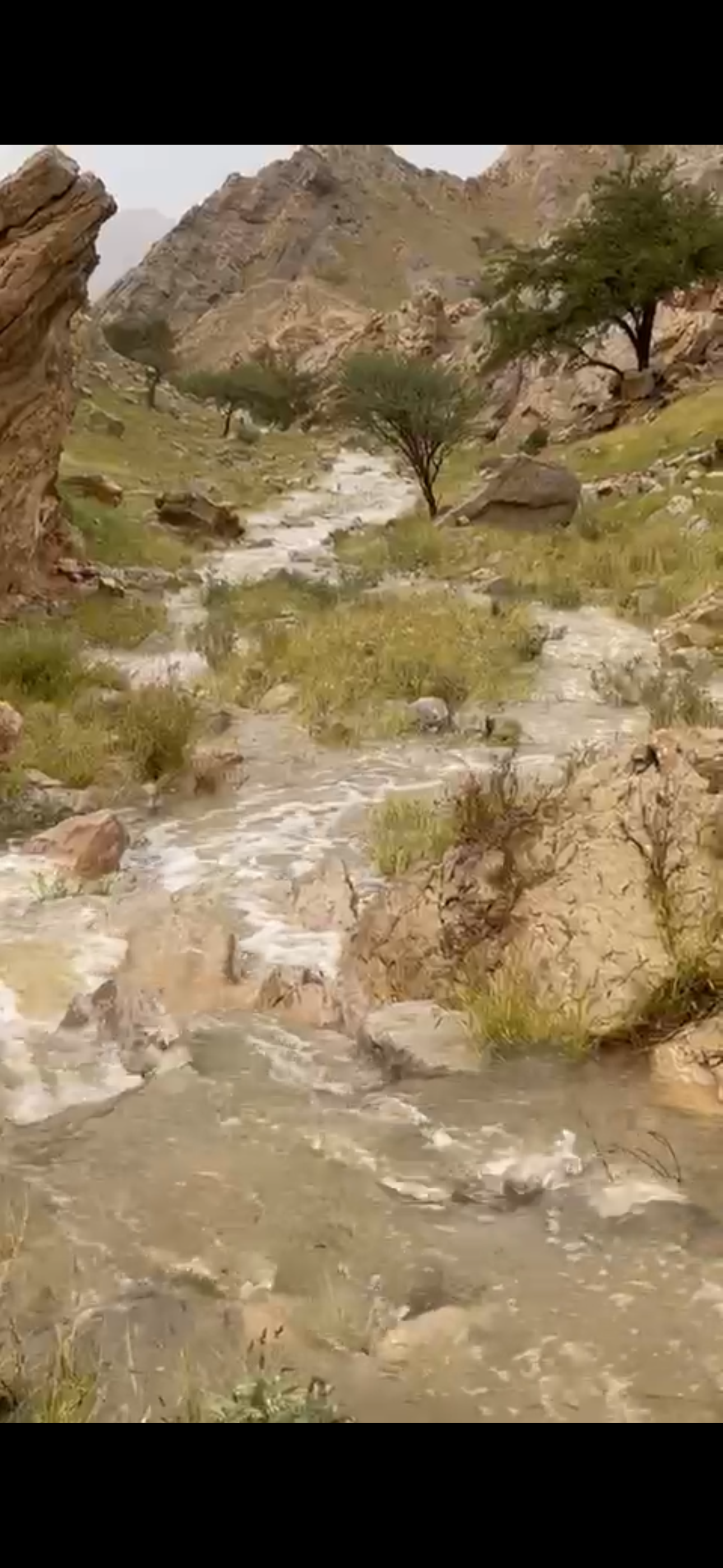 أجواء ساحرة في جبل جيس (تصوير: عبد الرحمن بن شيبان الحبسي) 