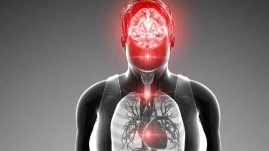 بروتين مسؤول عن سمنة منتصف العمر