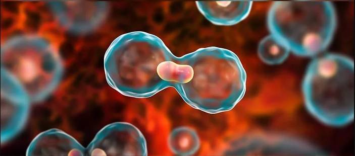 صورة تعبيرية لخلية سرطانية