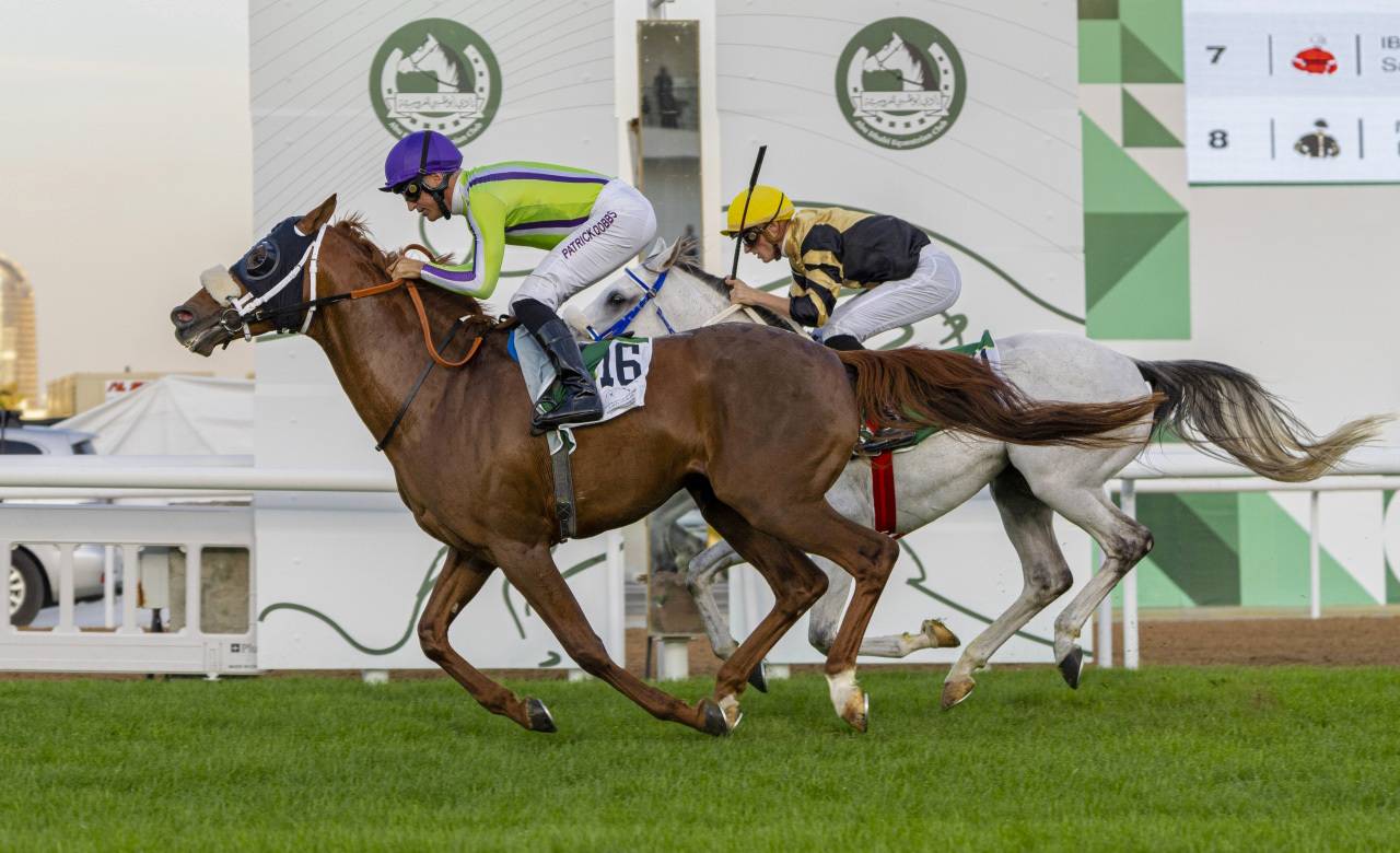 من سباقات مضمار أبوظبي