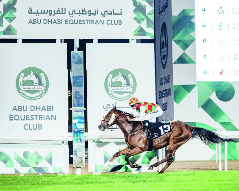 «طارق» يتجه نحو خط النهاية ببراعة