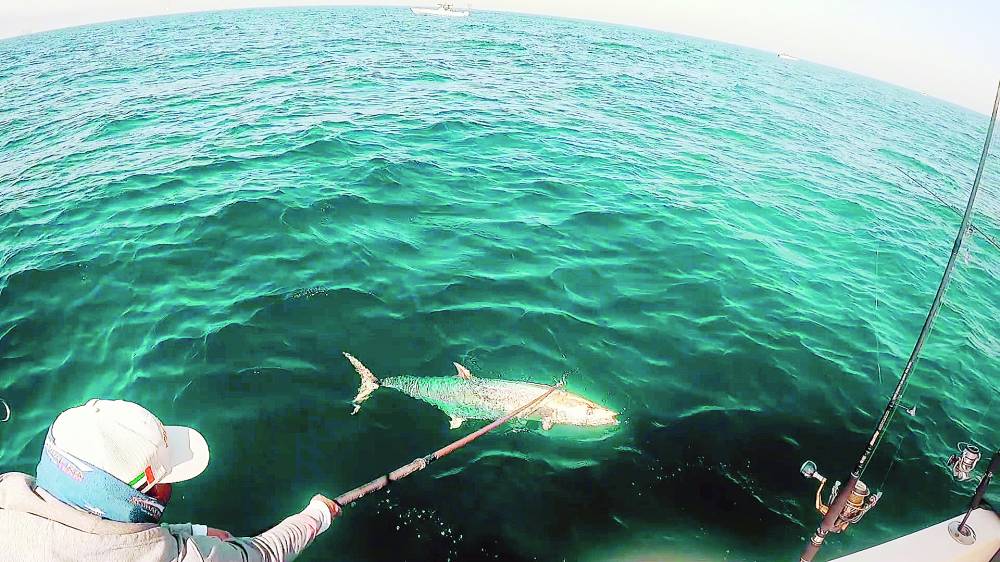 جانب من المنافسات