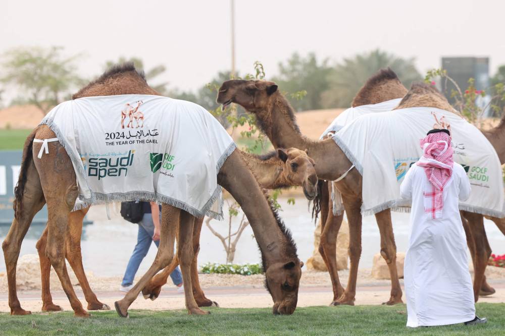 جانب من العرض (رويترز)