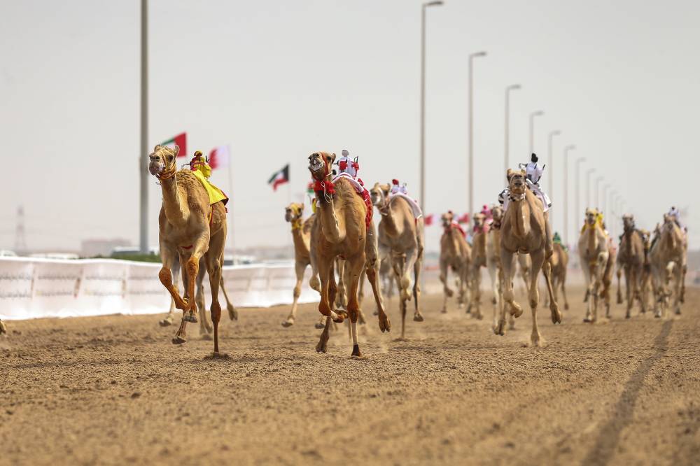 من منافسات السباق (تصوير: محمد السماني)