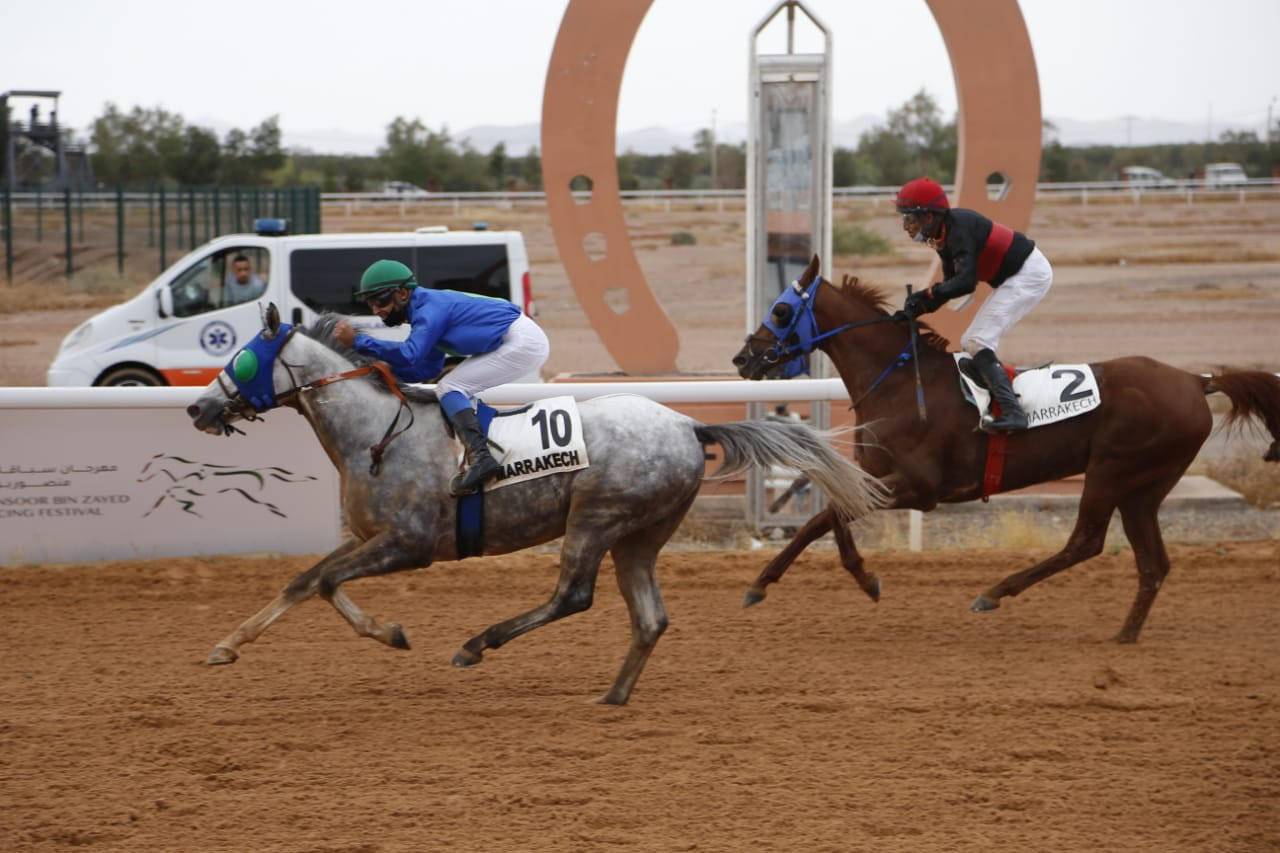 من سباقات الخيول في مراكش