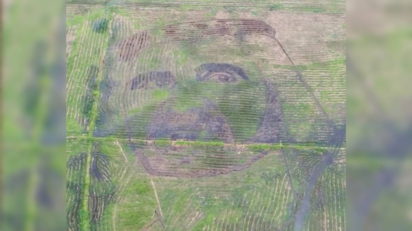 فيديو | تعبيراً عن محبته لمحمد بن راشد.. فنان هندي يرسم صورته بالأعشاب والمياه