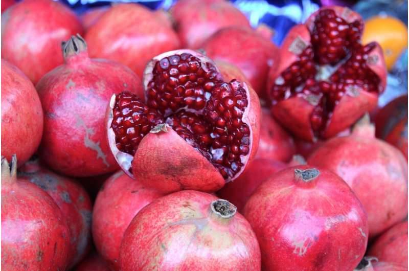  الرمان علاج للكبد الدهنية