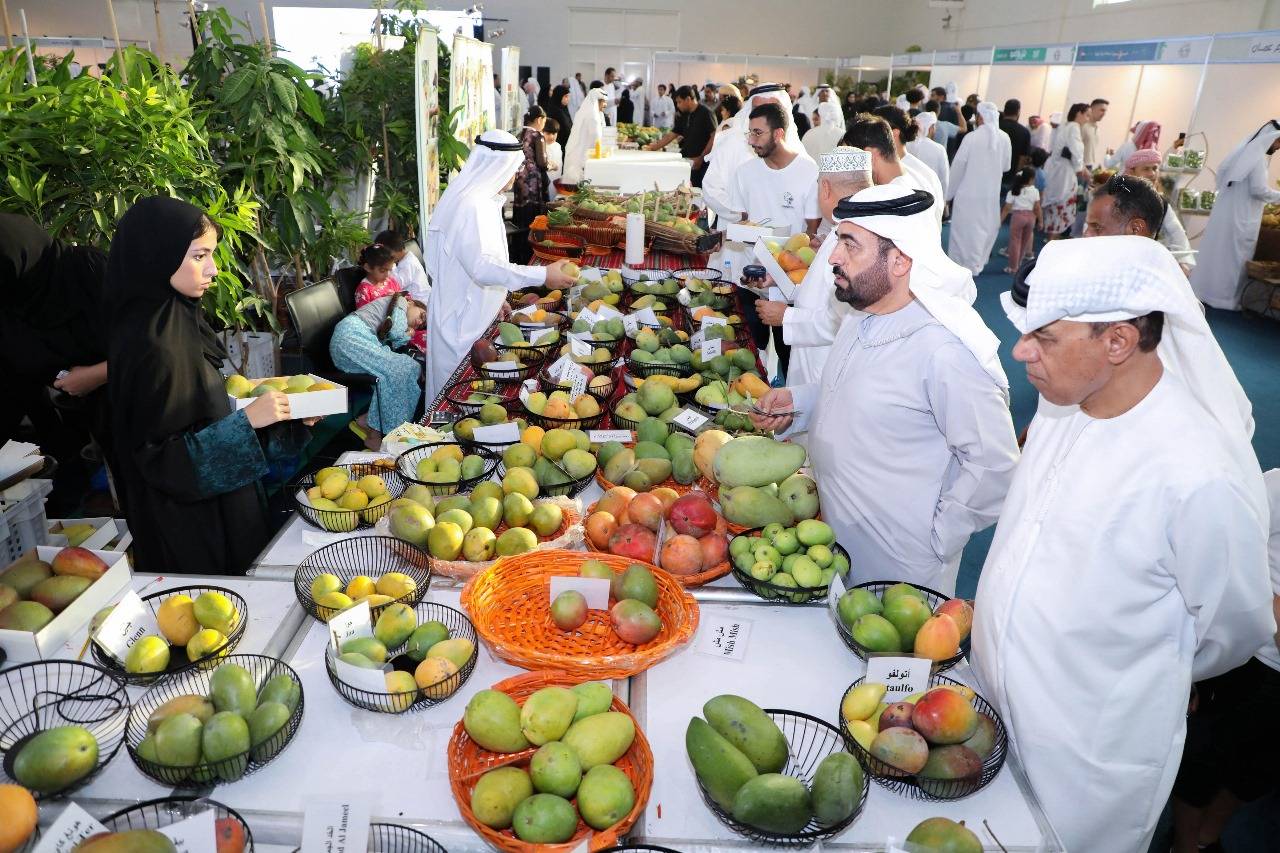 مهرجان «المانجو 2024» يختتم دورته الثالثة بنجاح