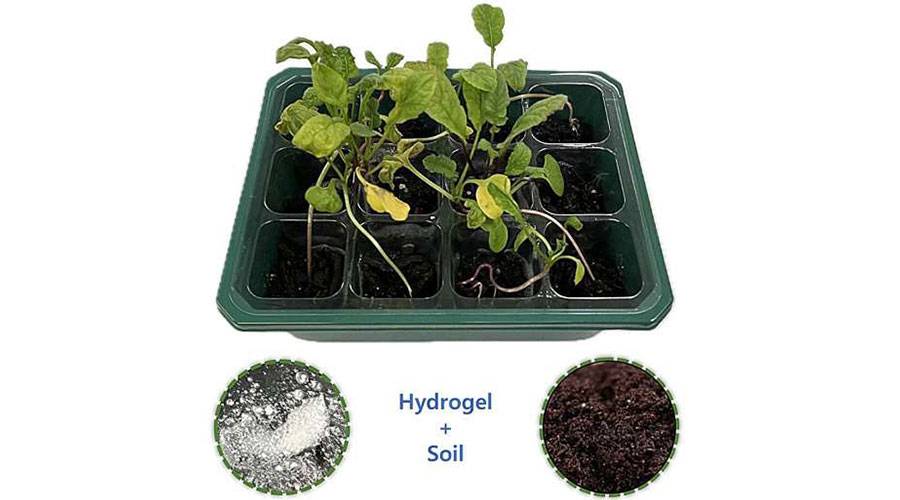  التربة الجديدة 