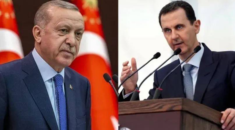 الأسد وأردوغان