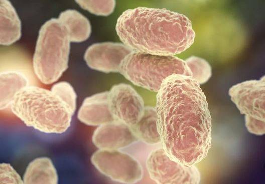 السعال الديكي