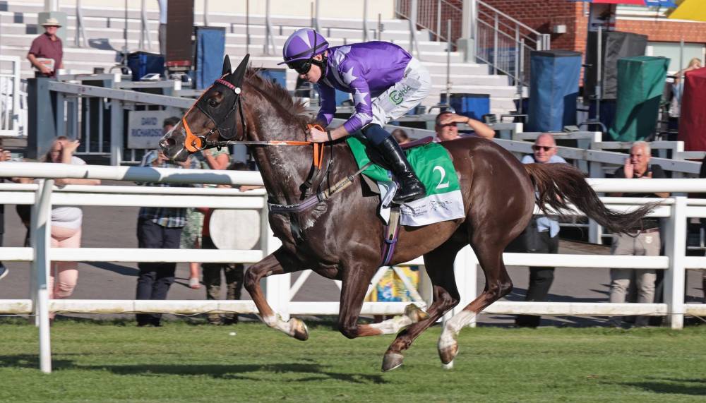 كولجاني بطل لنجفيلد 