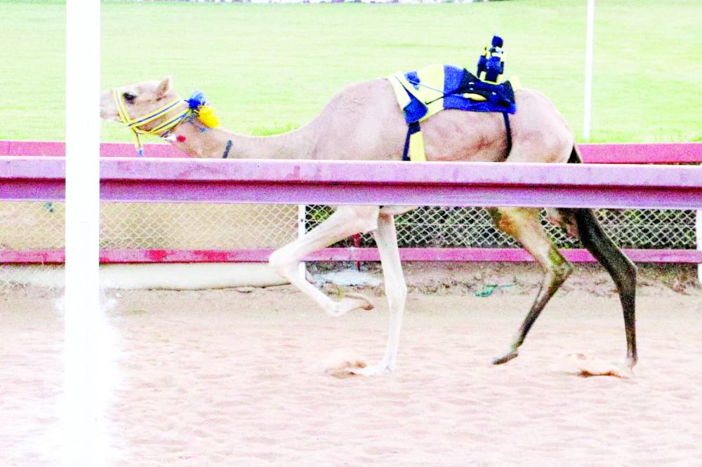 «براكة» صاحبة أفضل توقيت