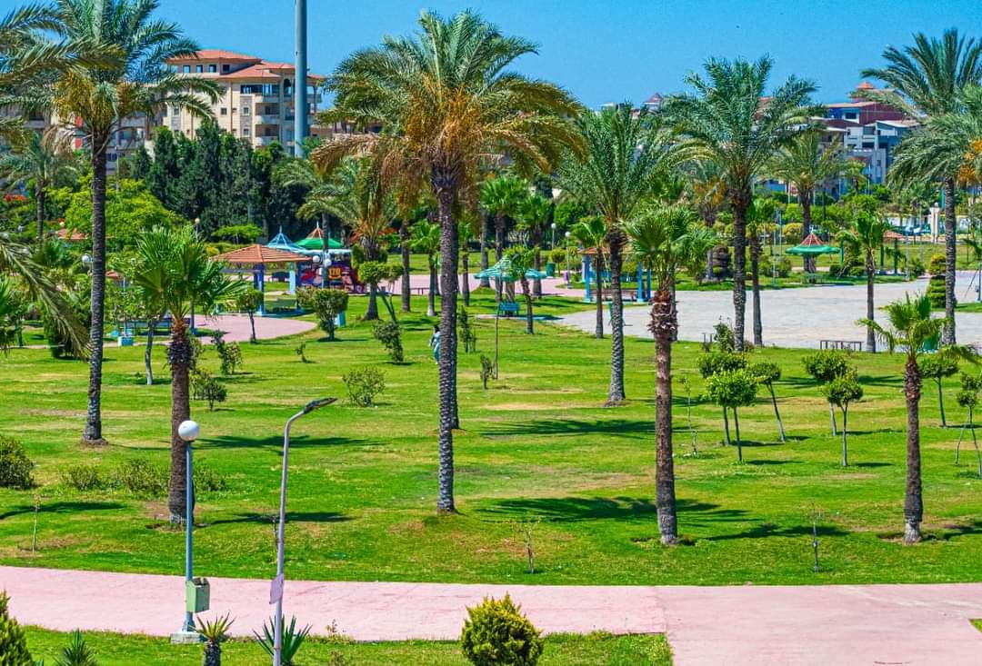 تشجير 5300 كيلومتر في مصر لمواجهة التغيرات المناخية