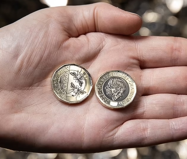 العملة المعدنية الجديدة