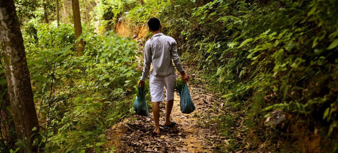 العثور على طفل حيّاً «وسط شجيرة» بفيتنام