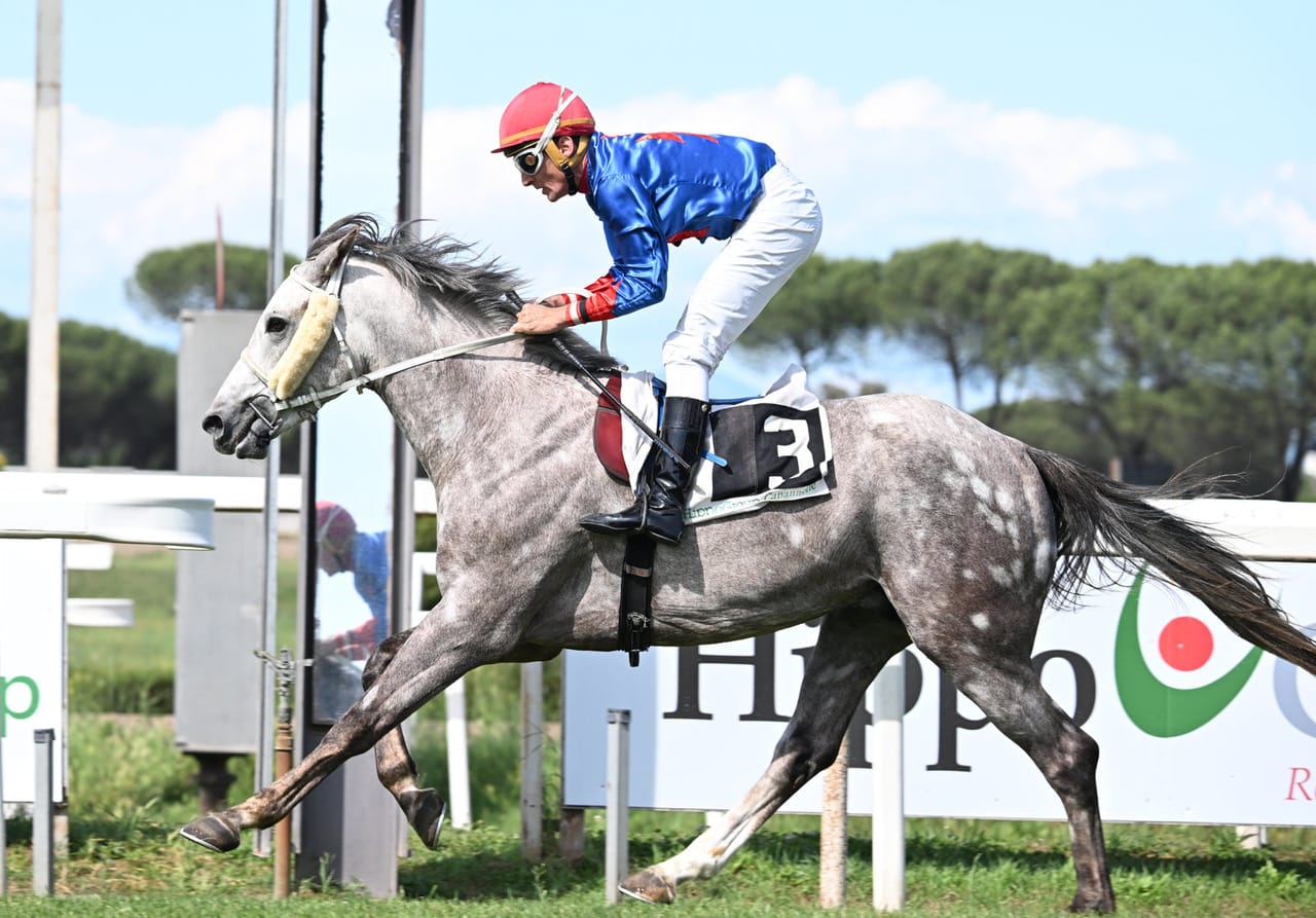 «فيسبروي» المرشح الأول