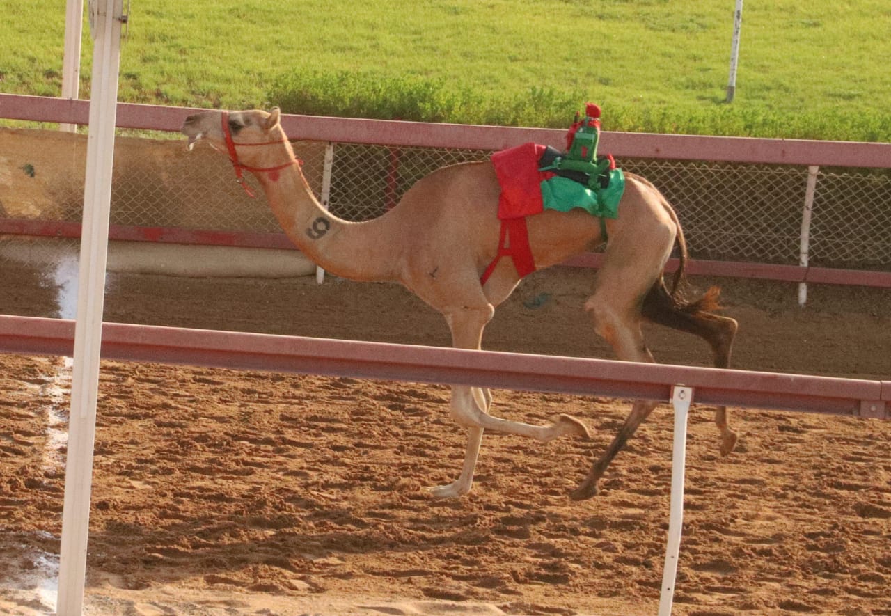 من منافسات السباق
