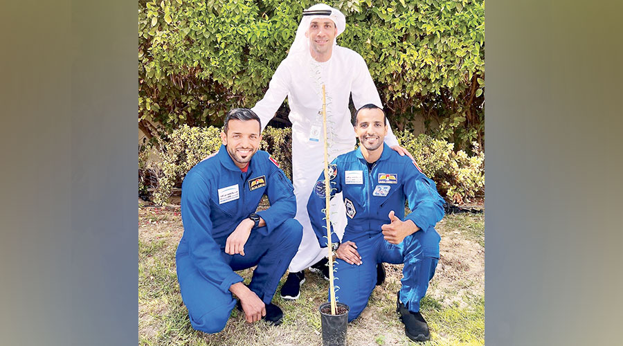 النيادي والمنصوري والمري