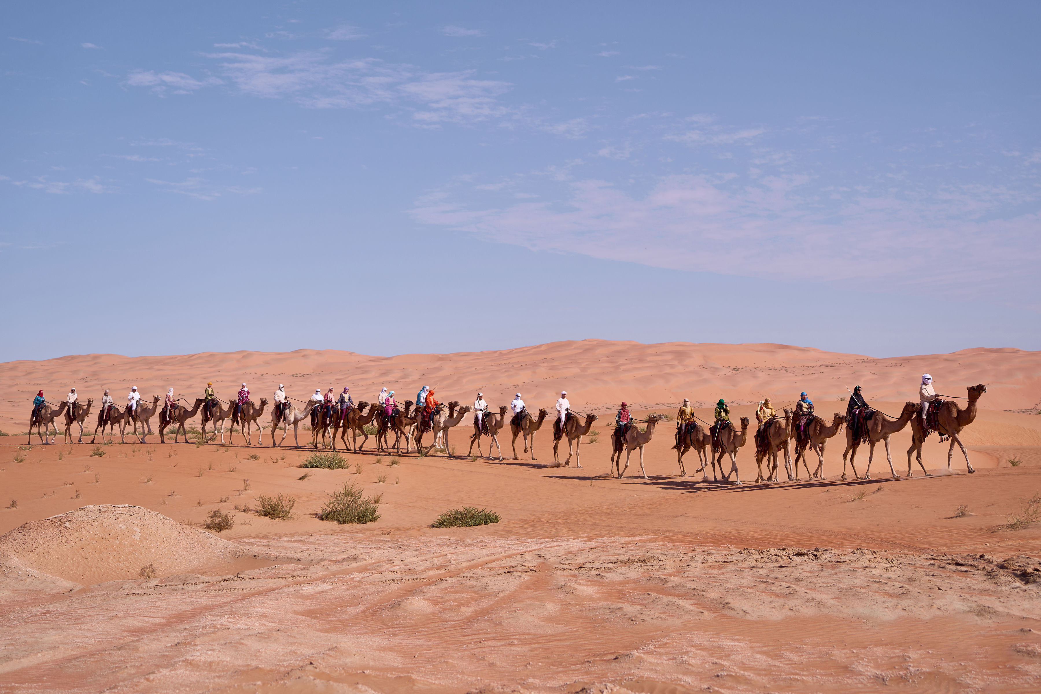 رحلة الهجن تقطع الصحراء الغربية في الطريق إلى وجهتها النهائية