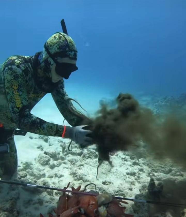 فيديو | اعتصر رقبته.. أخطبوط غاضب يشن هجوماً على غواص تحت الماء