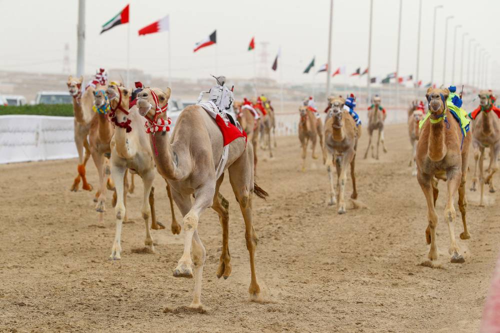 من منافسات سابقة