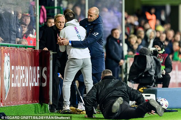 هانغلاند كابتن فولهام السابق 