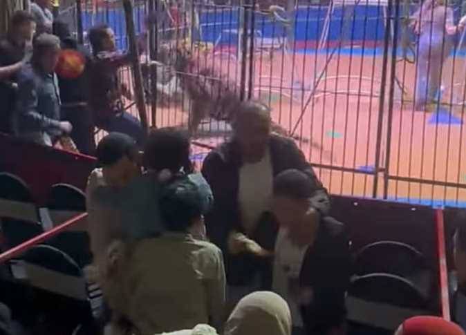 تحرك رسمي من جامعة مصرية بعد مداخلة صادمة في برنامج عمرو أديب